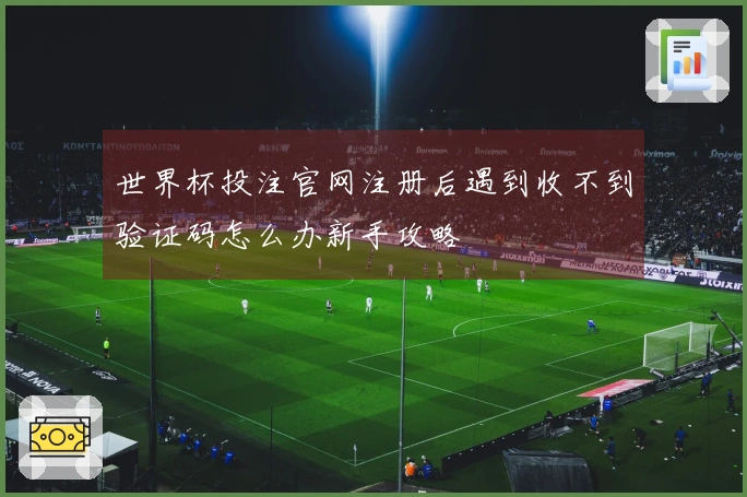世界杯投注官网注册后遇到收不到验证码怎么办新手攻略
