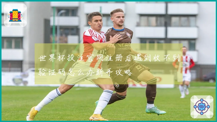 世界杯投注官网注册后遇到收不到验证码怎么办新手攻略