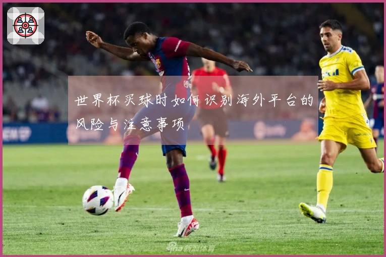世界杯买球时如何识别海外平台的风险与注意事项