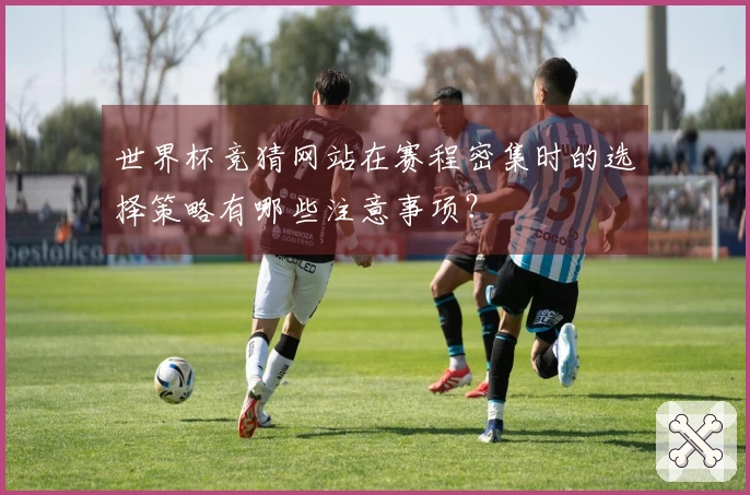 世界杯竞猜网站在赛程密集时的选择策略有哪些注意事项？