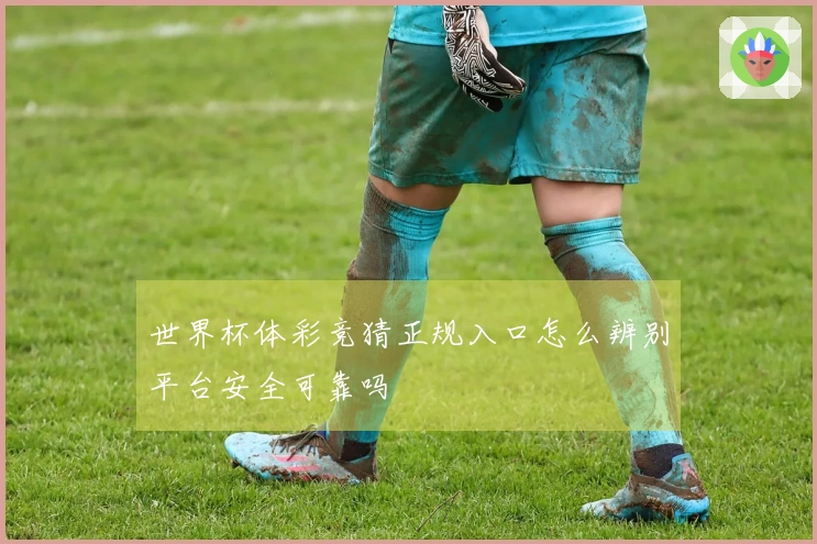 世界杯体彩竞猜正规入口怎么辨别平台安全可靠吗